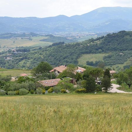 Agriturismo Terra Selvatica Valfabbrica Exterior foto